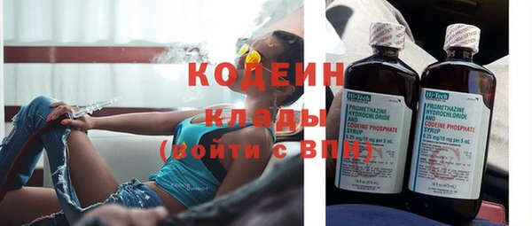 ГАЛЛЮЦИНОГЕННЫЕ ГРИБЫ Абаза