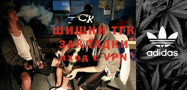 ГАЛЛЮЦИНОГЕННЫЕ ГРИБЫ Абаза