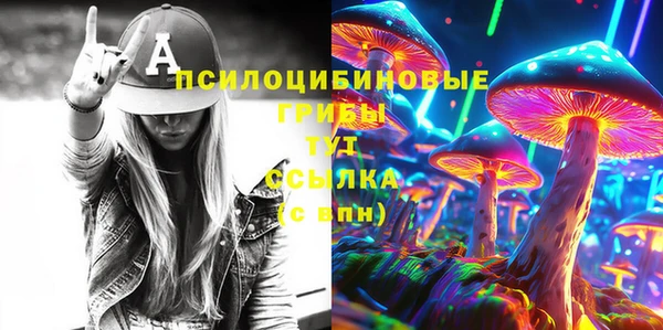 МДПВ Абинск