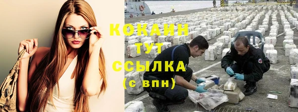 ГАЛЛЮЦИНОГЕННЫЕ ГРИБЫ Абаза
