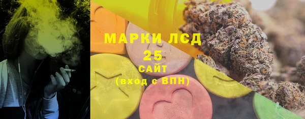 ГАЛЛЮЦИНОГЕННЫЕ ГРИБЫ Абаза