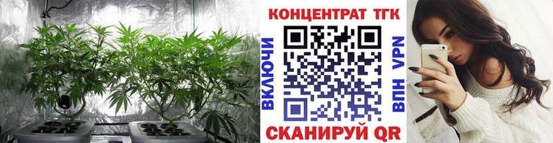 где купить наркоту  Спас-Клепики  ТГК THC oil 