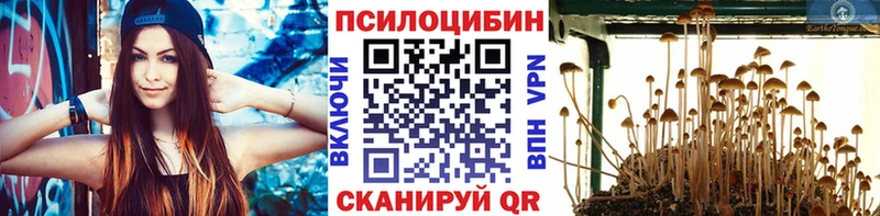 Псилоцибиновые грибы мухоморы  ОМГ ОМГ ссылки  Спас-Клепики 